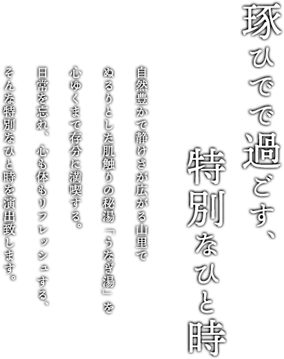 琢ひでで過ごす特別なひととき