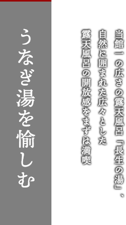 うなぎ湯という贅沢